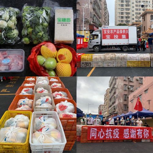 四步走保障“菜籃子” 寶投集團全力守護居民“慢生活”下的農產品供應