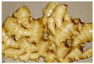 從冷熱計(jì)量儀表到辛辣蔬菜 探索精準(zhǔn)計(jì)量與農(nóng)業(yè)供應(yīng)的多元平臺(tái)